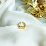 Ring gold zegel | ZAG Bijoux