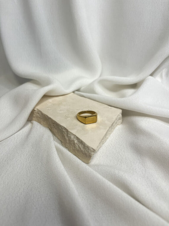 Ring gold zegel | ZAG Bijoux