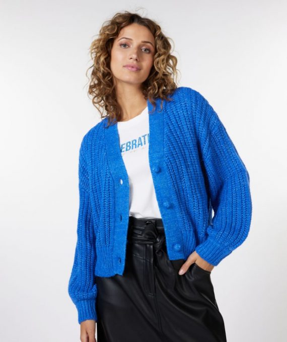 Cardigan chunky knit lurex blue Esqualo