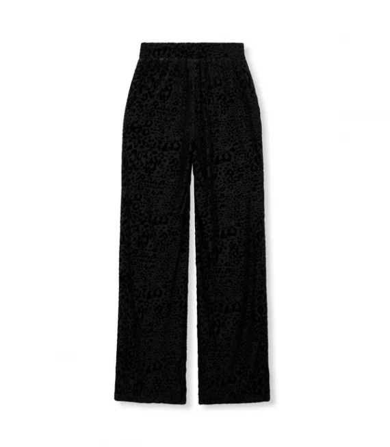 Nova velvet pants | Refined Department