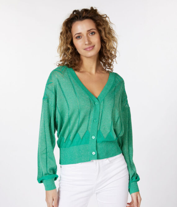 Cardigan lurex fancy groen Esqualo