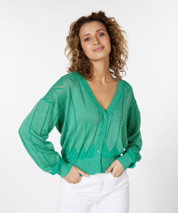 Cardigan lurex fancy groen Esqualo