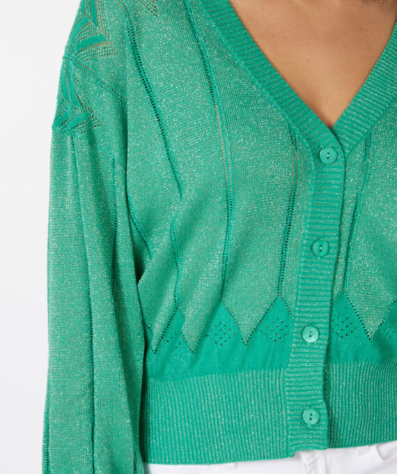 Cardigan lurex fancy groen Esqualo