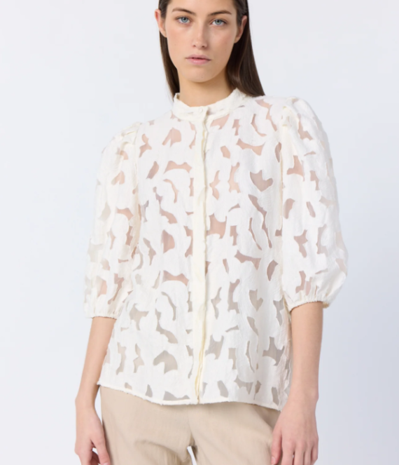 Aster 2 | Levete Room