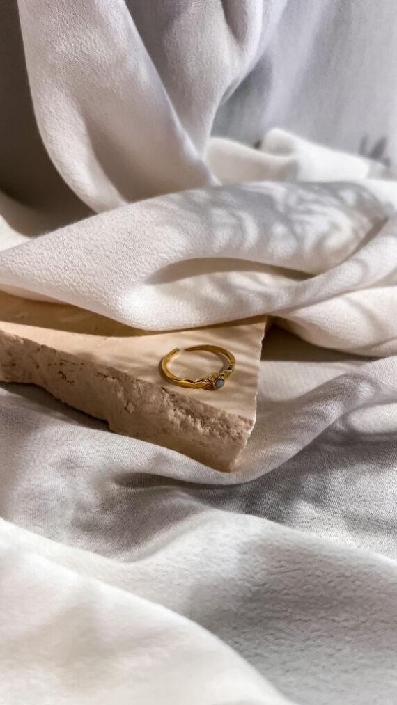 Allister ring goud | ZAG Bijoux