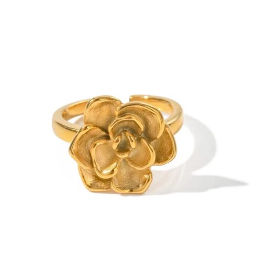 Be my baby ring | Folie a trois