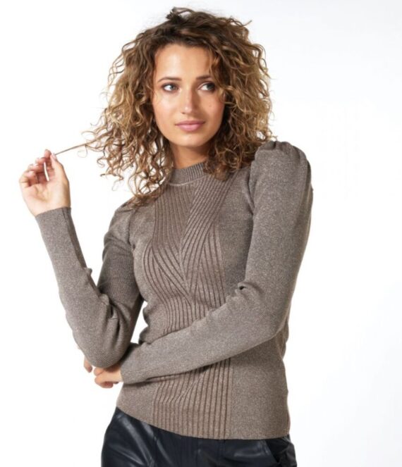 Sweater turtle neck lurex | Esqualo