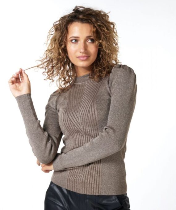 Sweater turtle neck lurex | Esqualo