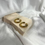 Nine oorbellen goud Zag bijoux