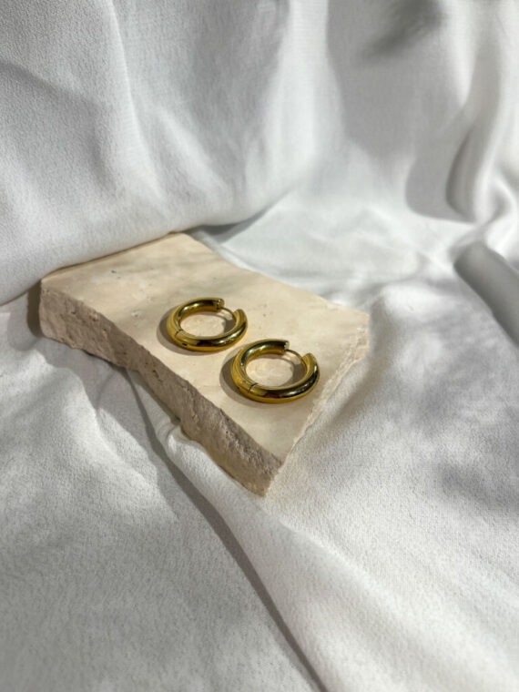 Nine oorbellen goud Zag bijoux