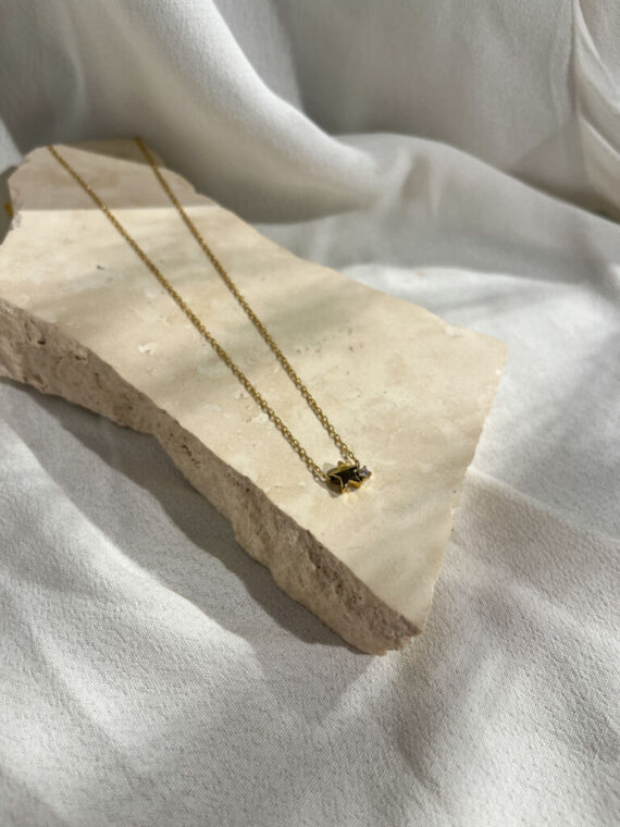Astrale gouden ketting Zag bijoux
