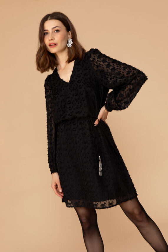 Dion dress zwart Freebird