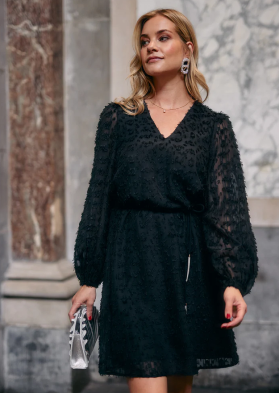 Dion dress zwart Freebird