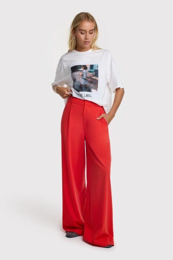 Pleat pants Alix the label