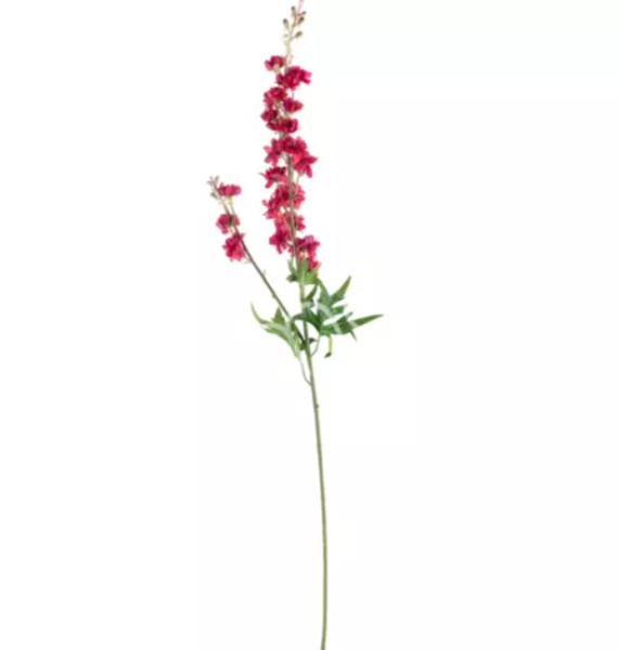 Flower delphinidin red Colmore