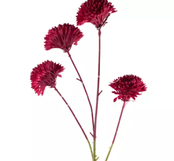 Flower honey comb red Colmore