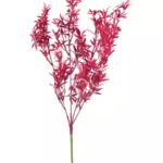 Flower bamboo leaf fuchsia Colmore