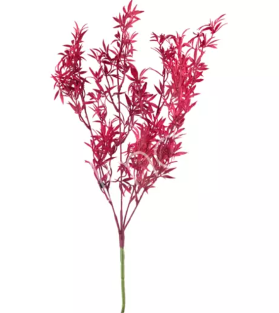 Flower bamboo leaf fuchsia Colmore