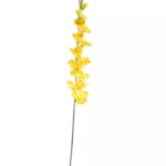 Flower gladiolus yellow Colmore