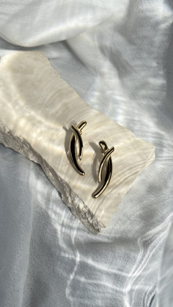Apion oorbellen ZAG Bijoux